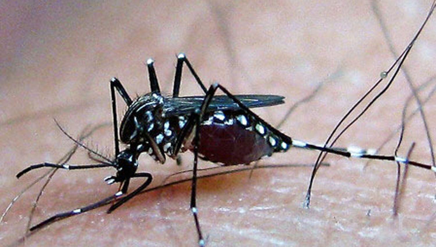 No estamos auacuten en el momento maacutes criacutetico del dengue esto puede seguir creciendo