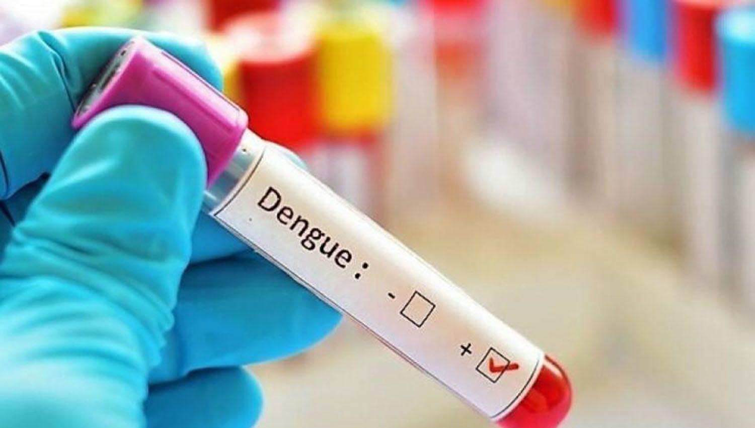 Reporte oficial confirma multiplicacioacuten de casos de dengue en Santiago