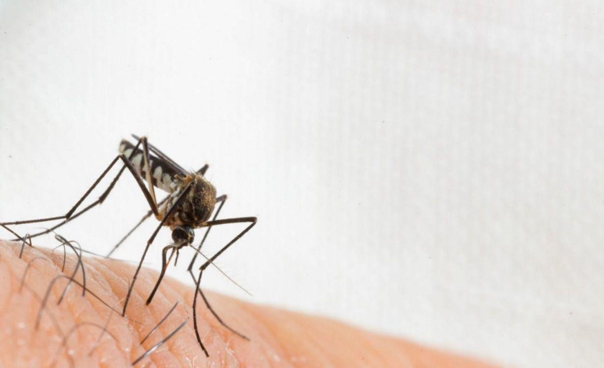 Maacutes de 41200 casos de dengue se registraron en 15 provincias