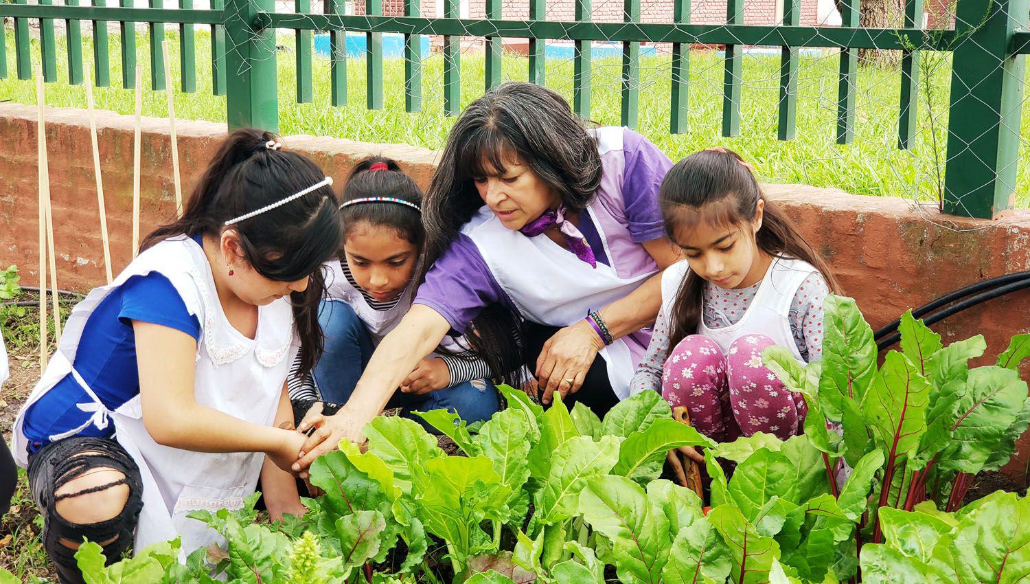 Santiago incorpora la Educacioacuten Ambiental en todas las escuelas locales