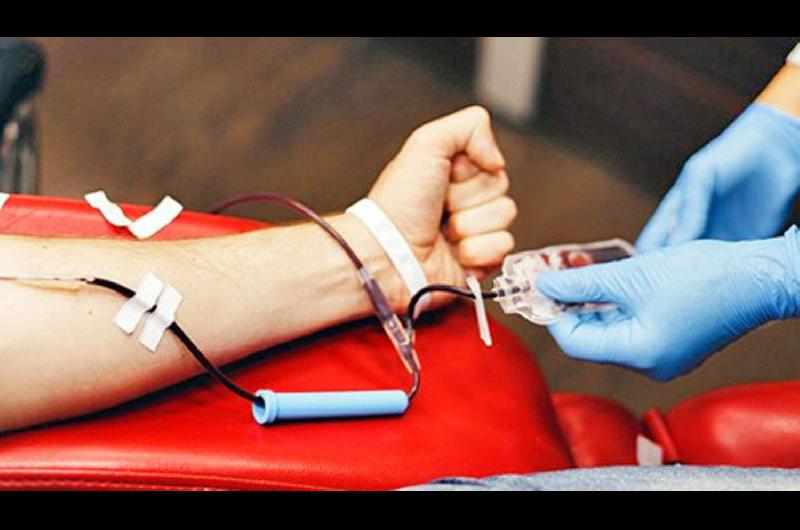 Pacientes que tuvieron dengue pueden realizar donaciones de sangre tras superar el virus