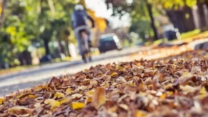 SMN Anunció cómo ser� la próxima temporada