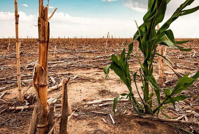 La actividad econoacutemica da signos de un estancamiento tras el impulso inicial
