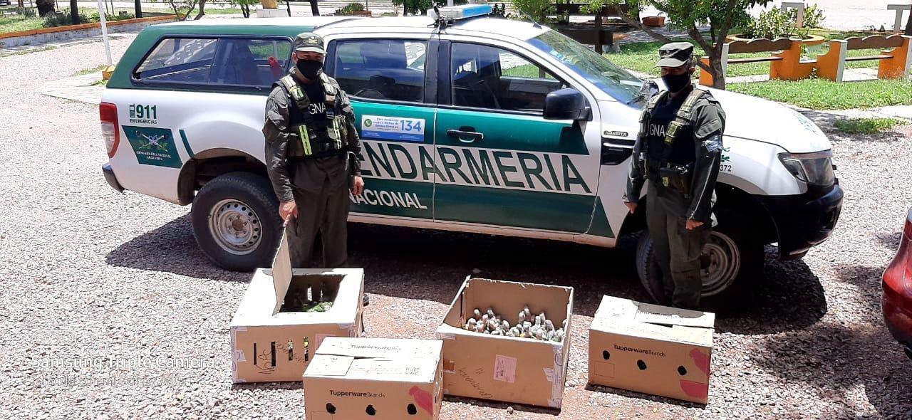 Copo la caza de asesinos de animales y aves en extincioacuten