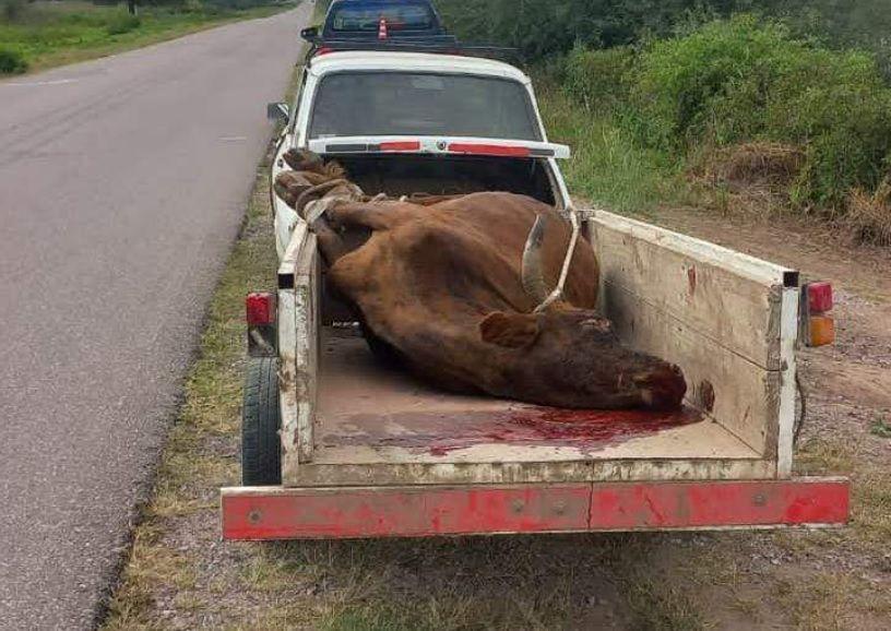 OPERATIVO Los efectivos interceptaron el vehículo sobre la Ruta provincial 24 y lo trasladaron a la Comisaría