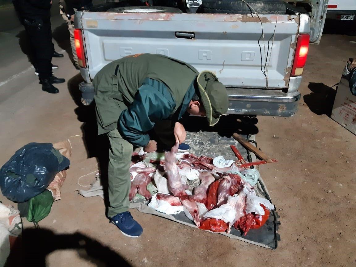 Detienen a sujeto que volviacutea de cazar animales en Yanda