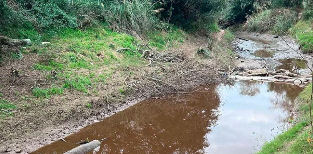 Caso Cecilia Strzyzowski- encontraron maacutes restos oacuteseos quemados en un nuevo rastrillaje