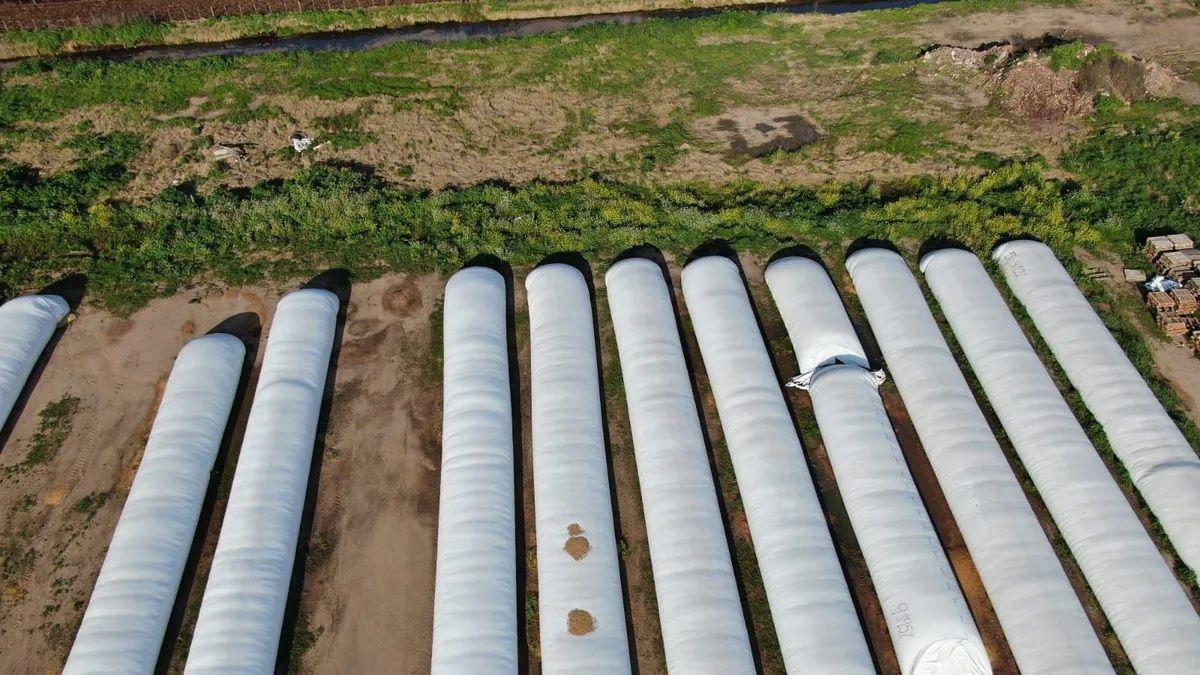 Gran golpe a la evasioacuten impositiva- decomisan toneladas de granos por valor de 184 millones