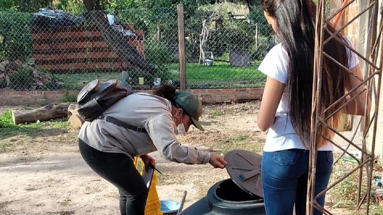 Descubrieron poblaciones de mosquitos resistentes a los insecticidas en el Amba y el NOA