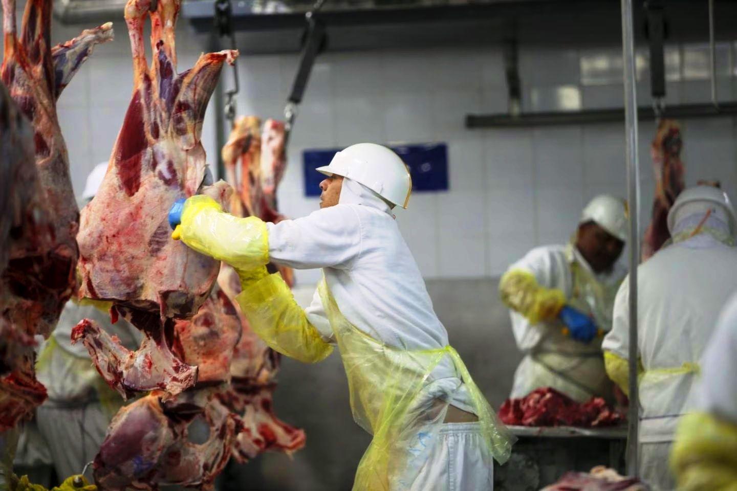 El Gobierno suspendioacute las exportaciones de carne