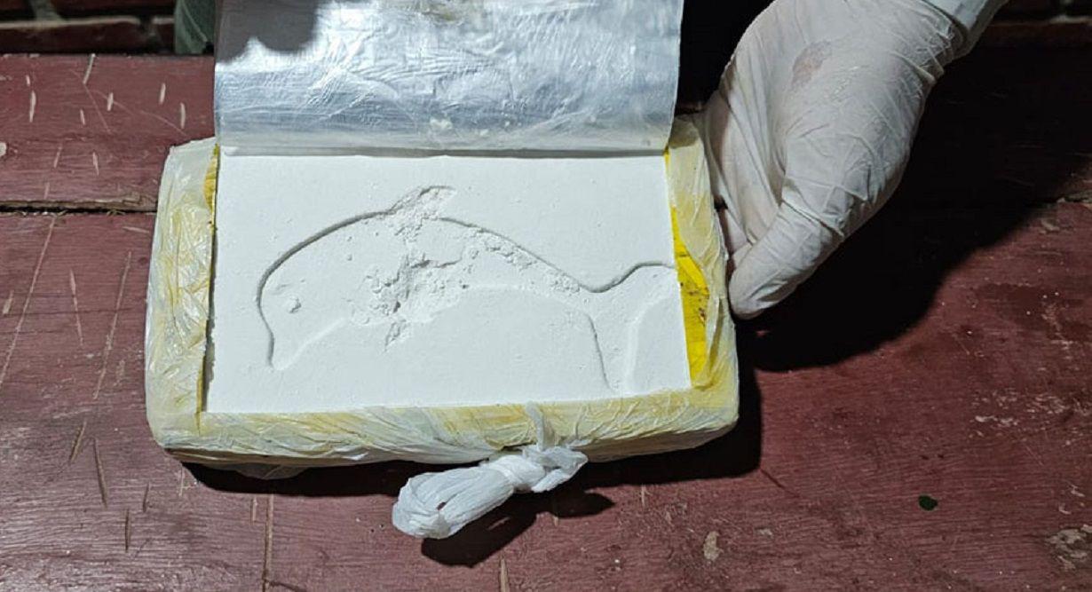Gendarmeriacutea capturoacute a un narco que ocultoacute maacutes de 6 kilos de cocaiacutena en el bauacutel de su auto