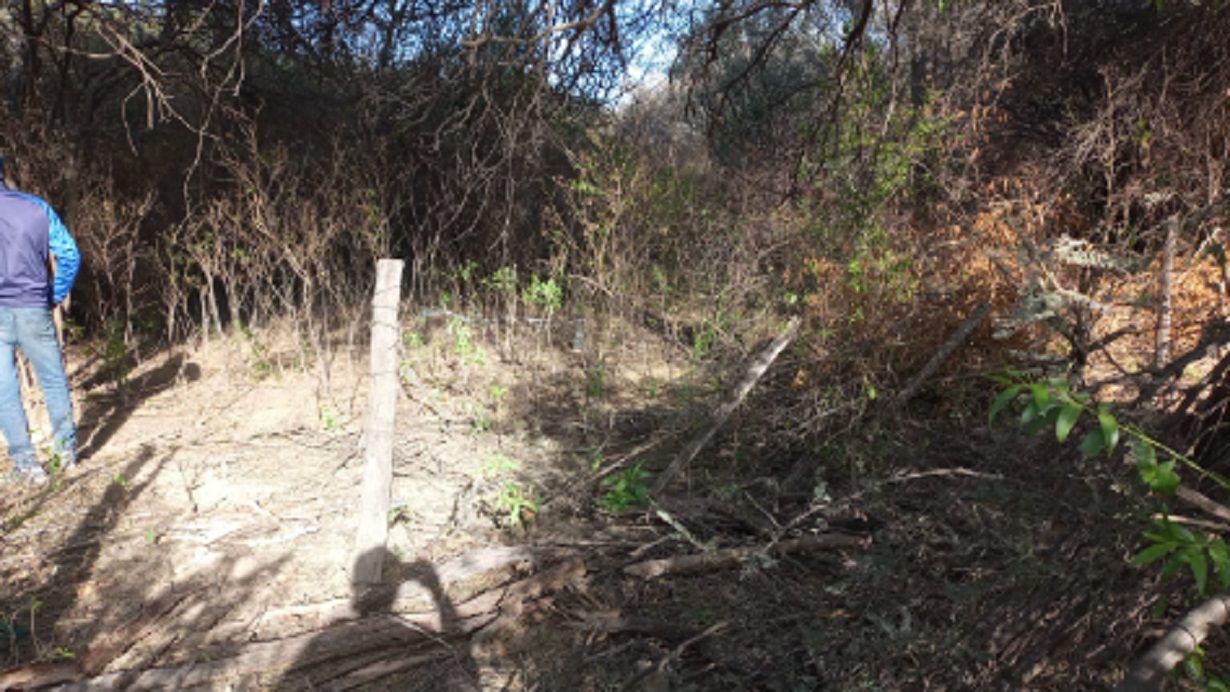 El peor final- encontraron colgado al albantildeil desaparecido en el departamento Sarmiento