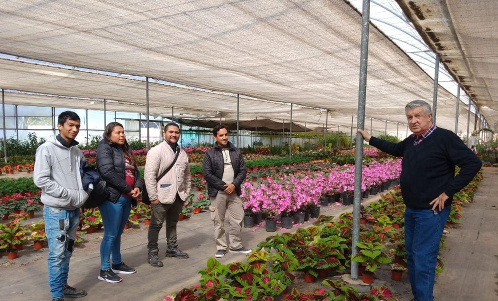 Empleados del Vivero de Friacuteas estudian nuevas teacutecnicas de cultivo