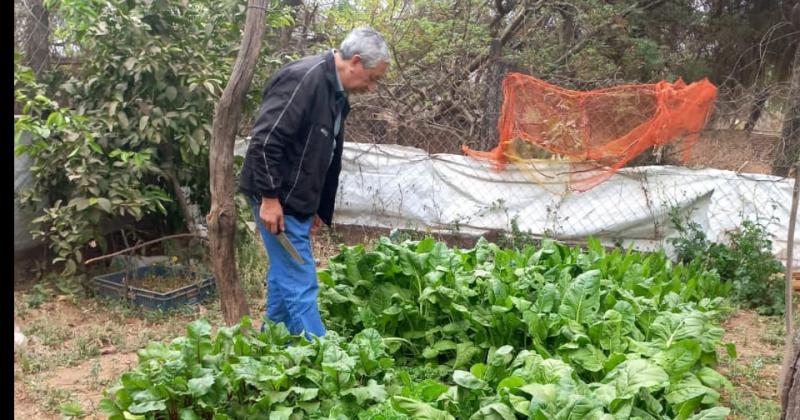 Vecino compartioacute una unidad demostrativa de su huerta orgaacutenica