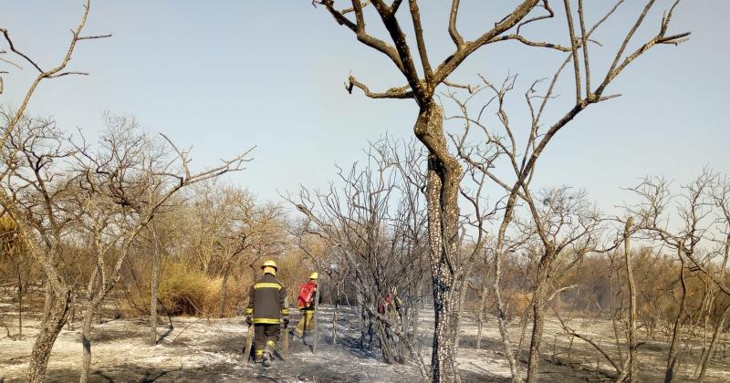 FOTOS Bomberos combaten el incendio de montes al sur de la ciudad