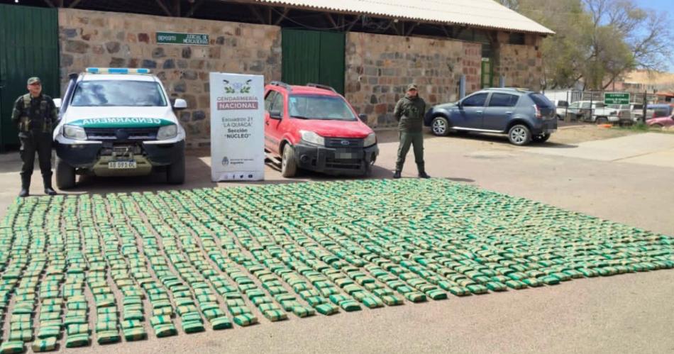 Gendarmeriacutea decomisa maacutes de 380 kilos de hojas de coca en dos procedimientos