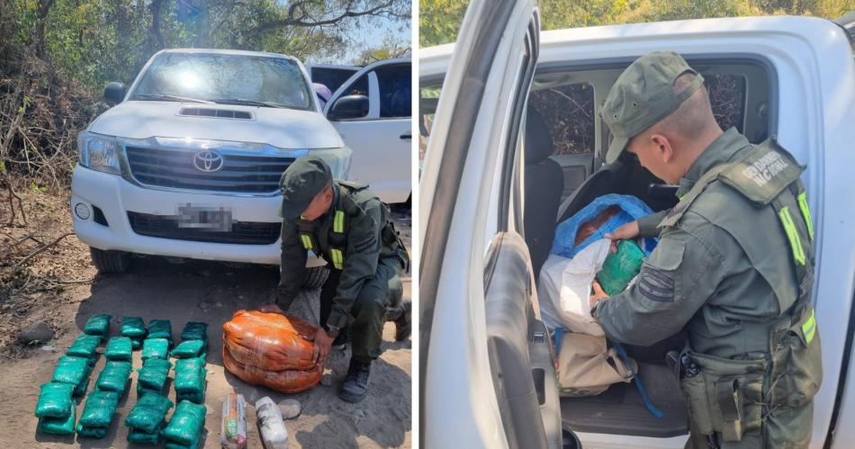 Gendarmeriacutea decomisa maacutes de 380 kilos de hojas de coca en dos procedimientos