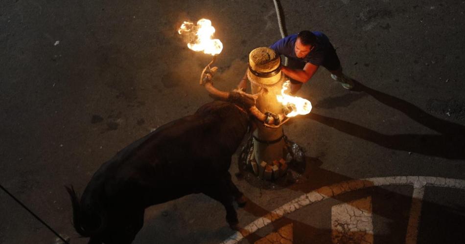 Un muerto y un herido tras ser corneados en un encierro de toros en Valencia