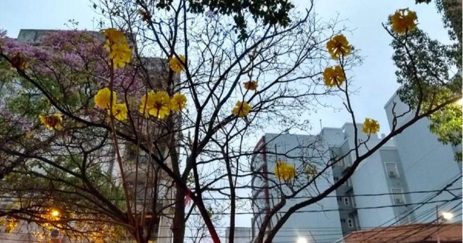 De a poco comienza a subir la temperatura en Santiago- el pronoacutestico para este jueves