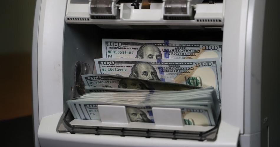 Dura advertencia del FMI por la dolarizacioacuten que propone Milei