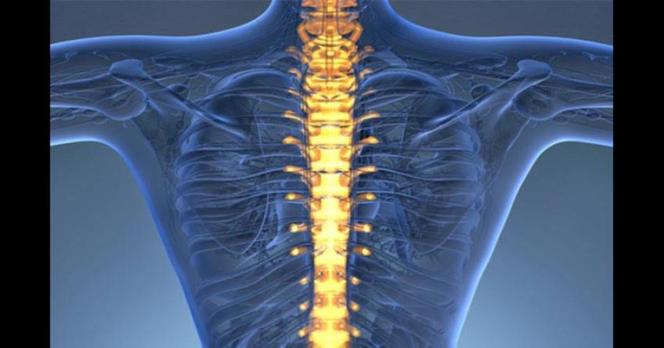 ABORDAJE En las jornadas se analizarn los avances en cirugías