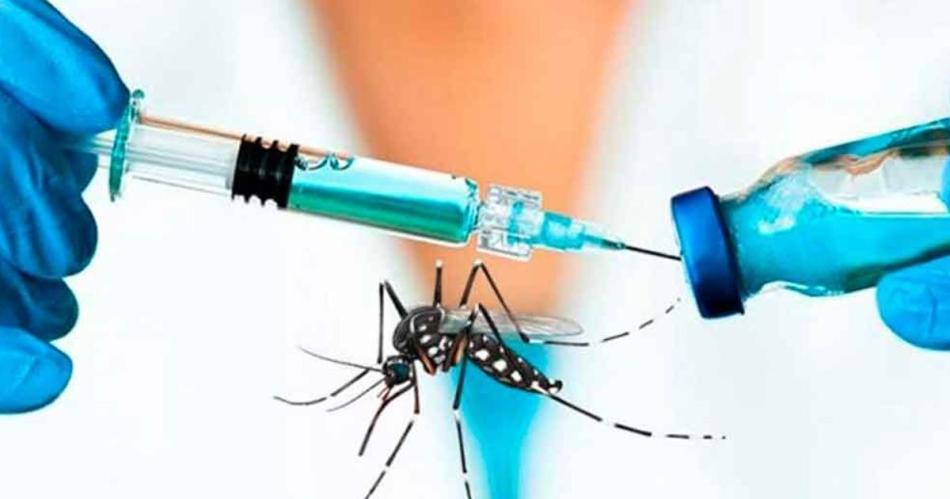 Vacuna contra el dengue- su precio y cuaacutendo llegaraacute al paiacutes