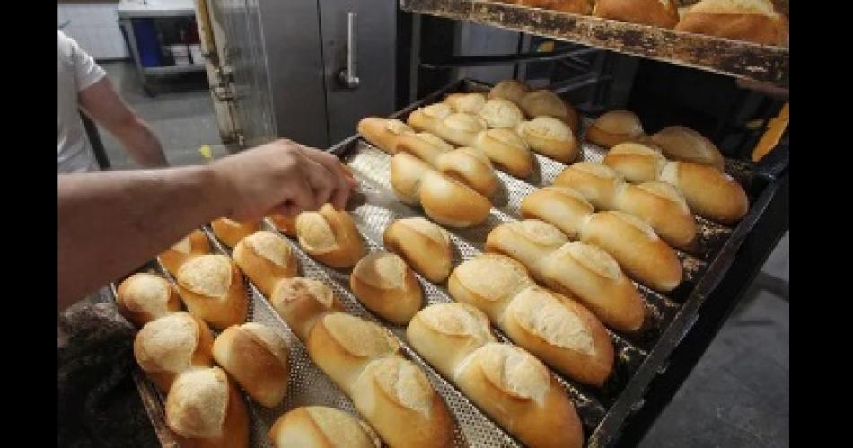 Subioacute el precio de la harina y la semana proacutexima redefinen el del pan