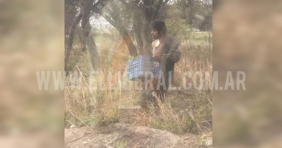 Filman in fraganti a un ladroacuten robaacutendose un cajoacuten de tomates