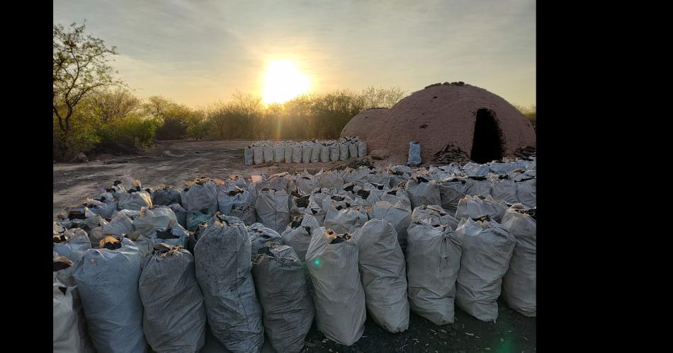 Por la caiacuteda de valor del carboacuten los productores buscan abrir la exportacioacuten