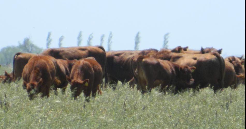 OPERATIVO Días atrs hubo enfrentamientos en la propiedad