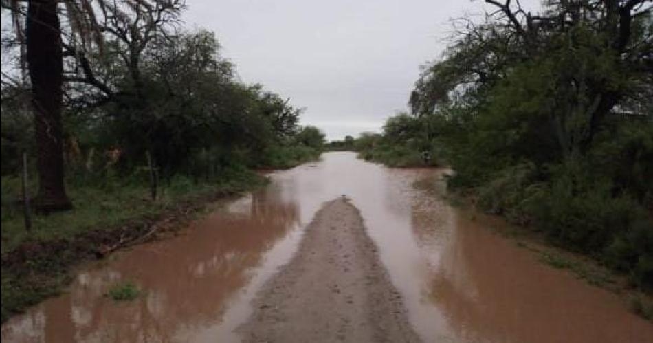 La abundante lluvia que se registra en nuestra provincia genera esperanzas en la produccioacuten