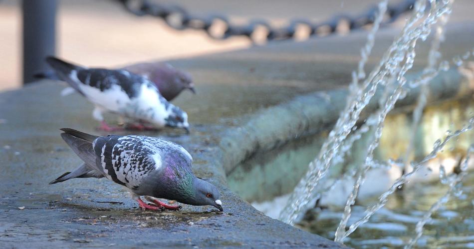 Santiago del Estero tendraacute una maacutexima de 32ordm este saacutebado