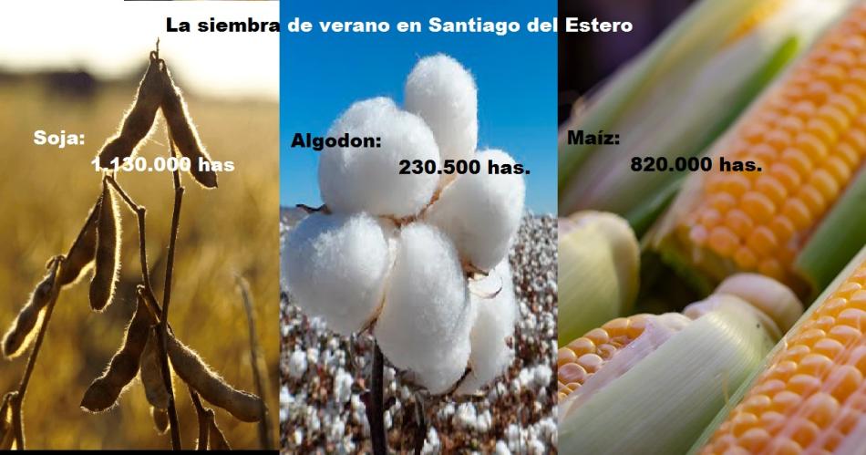 Crece la siembra y Santiago aportaraacute la produccioacuten de 21 M de has a la exportacioacuten