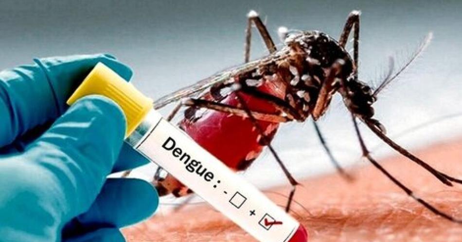 Cada dosis de la vacuna contra el dengue cuesta 61000