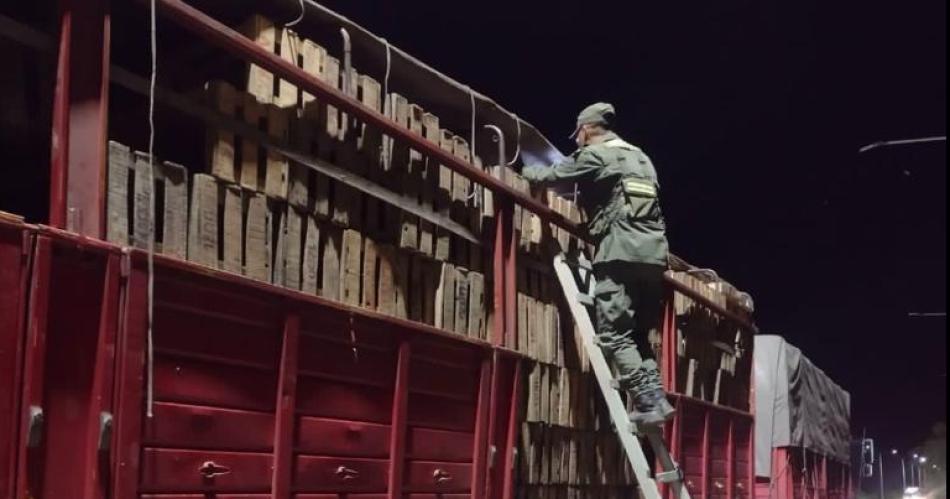 Camionero llevaba escondidas maacutes de 50 cubiertas de contrabando entre cajones de madera