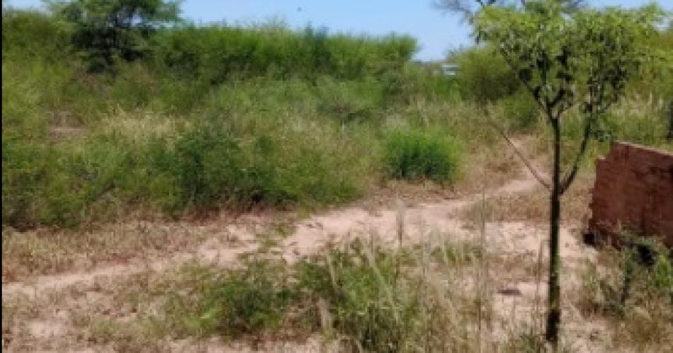 Santiaguentildeo citoacute a su ex la golpeoacute con un martillo en la cabeza y la asesinoacute a puntildealadas