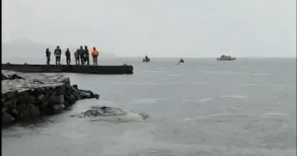 Primeras imaacutegenes del lugar donde se accidentoacute Sebastiaacuten Pintildeera