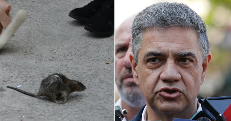 El insoacutelito momento que vivioacute Jorge Macri durante una nota- aparecioacute una rata
