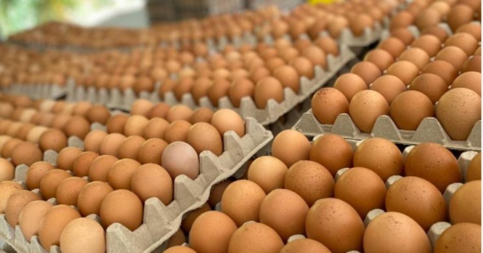 El precio del huevo subioacute 21-en-porciento- este mes y un 11-en-porciento- el del pollo