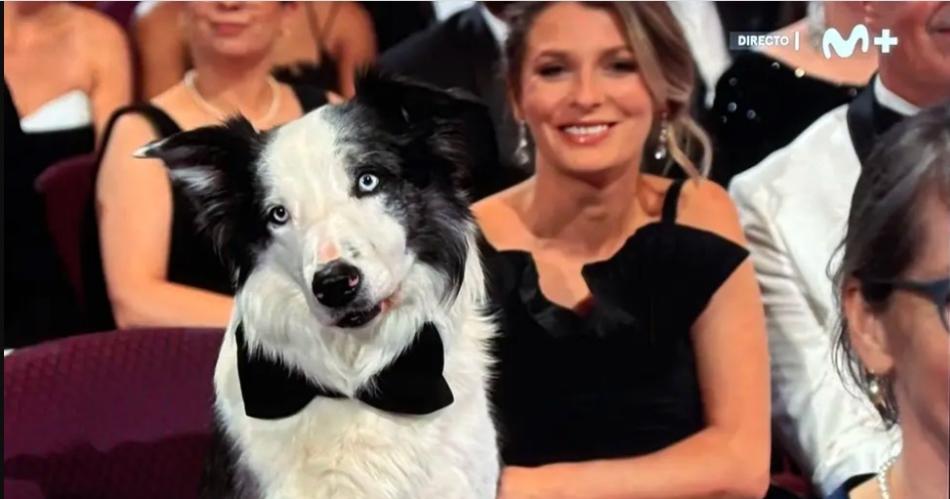 El Oscar a Mejor Peliacutecula y 7 estatuillas fueron par Oppenheimer pero Messi se llevoacute todas las mirada