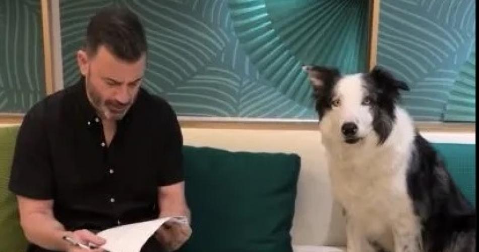 El Oscar a Mejor Peliacutecula y 7 estatuillas fueron par Oppenheimer pero Messi se llevoacute todas las mirada