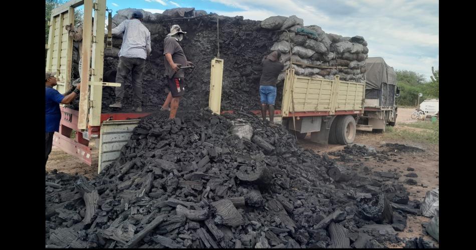 Descubren a conductor transportando una importante carga ilegal de carboacuten