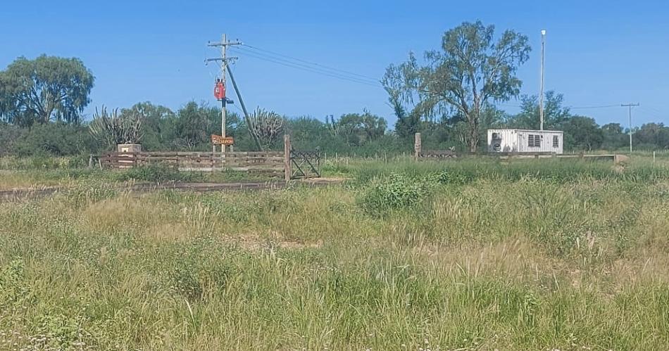Roban ganado por valor de un milloacuten de doacutelares al presidente de la Sociedad Rural de Mataraacute