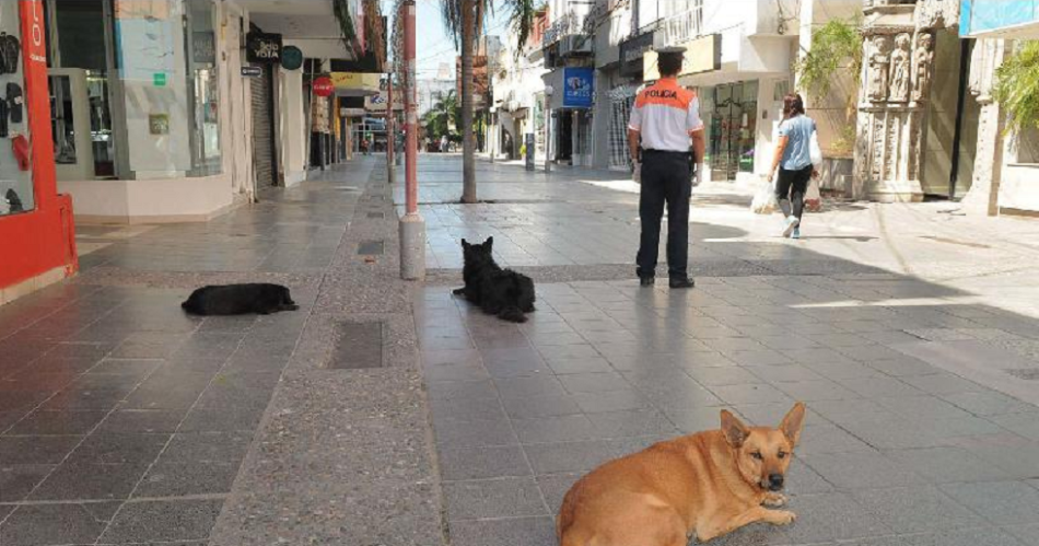 Feriado XXL- coacutemo trabajaraacuten los comercios y bancos en Semana Santa