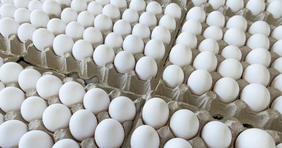 El huevo en valores reacutecord- cuaacutento cuesta el maple y cuaacutento la unidad