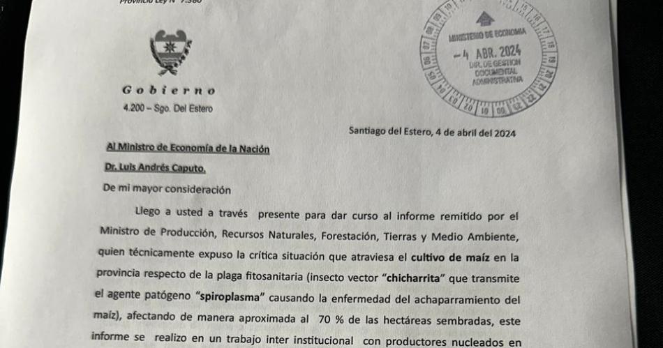 El Gobierno de Santiago solicita creacuteditos especiales a Nacioacuten para productores de maiacutez ante el avance de una plaga fitosanitaria
