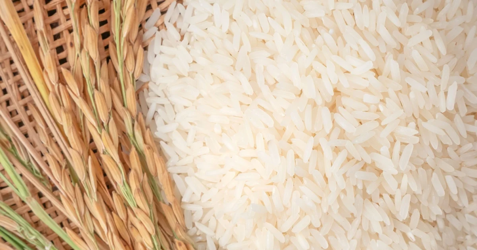 Atencioacuten- la ANMAT prohibioacute la venta de un arroz por ser una imitacioacuten