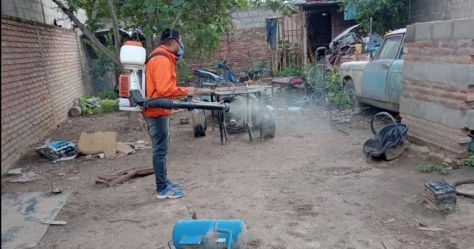 La Municipalidad friense realiza tareas de fumigacioacuten domiciliaria
