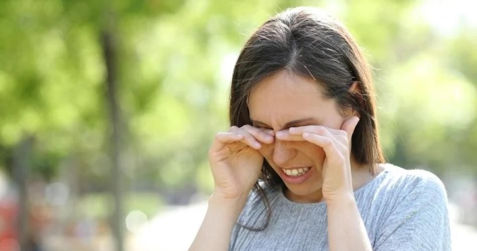 Queacute efectos puede ocasionar el virus del dengue en la salud ocular