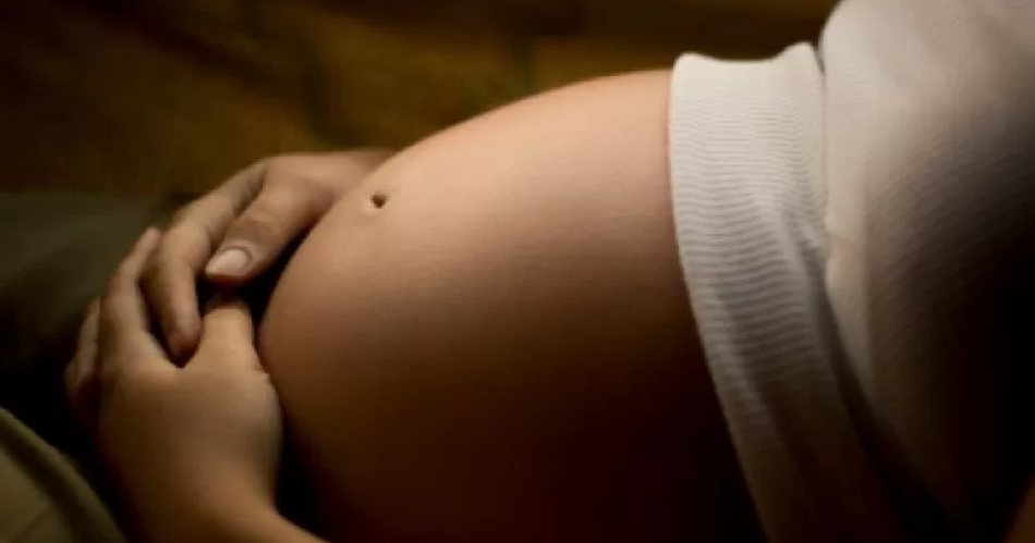 El pueblo quiere saber- iquestDe queacute se trata